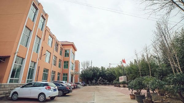 公司實(shí)力
